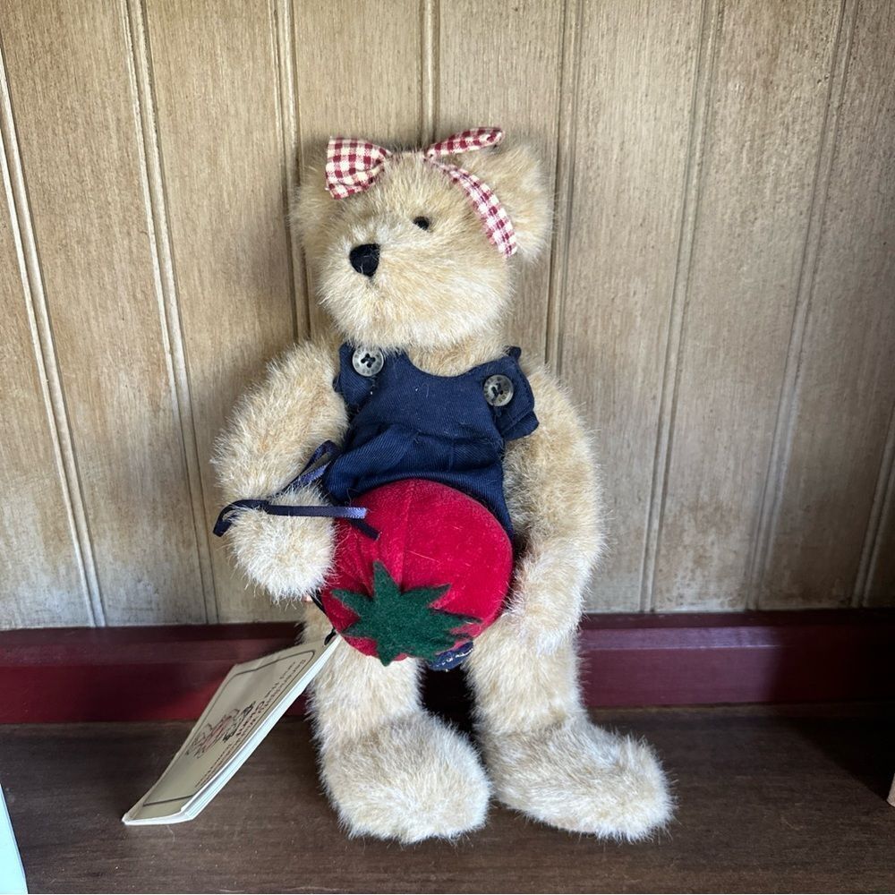 BOYDS PLUSH BEAR SERENDIPITY WISHKABIBBLE AND THE GIANT TOMATO 10" NWT